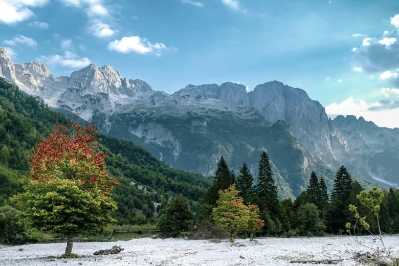 Flora albanesa na região de Valbona, com espécies endêmicas e paisagens montanhosas típicas dos Alpes Albaneses.